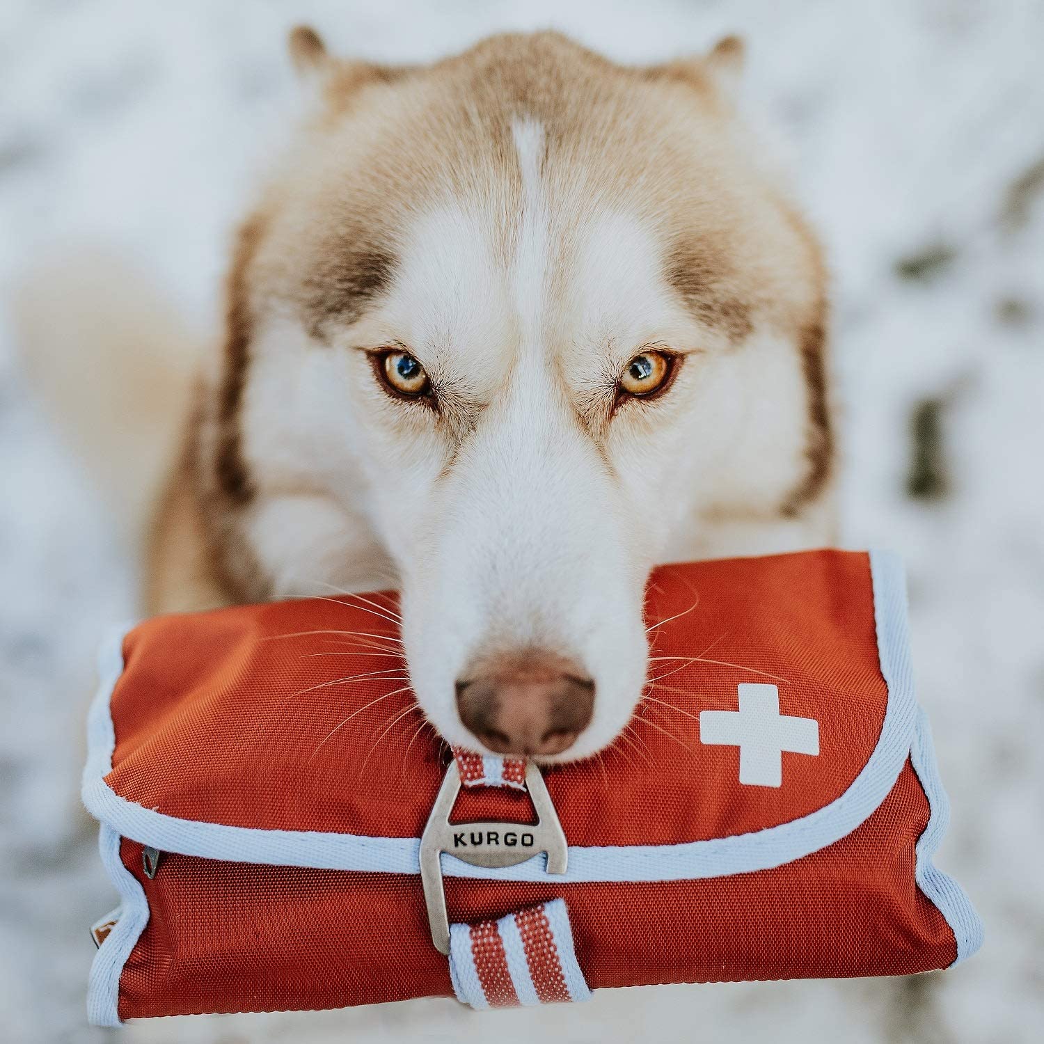 Kurgo® étend sa gamme RSG avec un kit de premiers secours pour chien